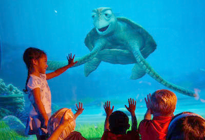 turtle-talk