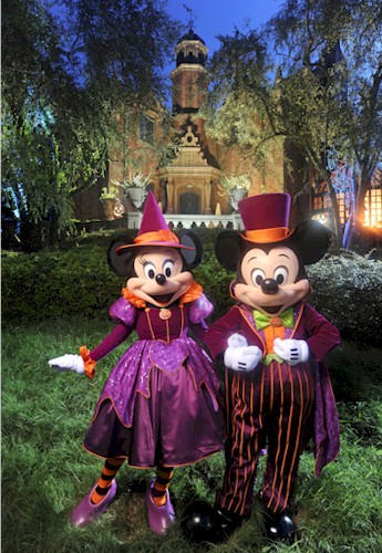 mnsshp