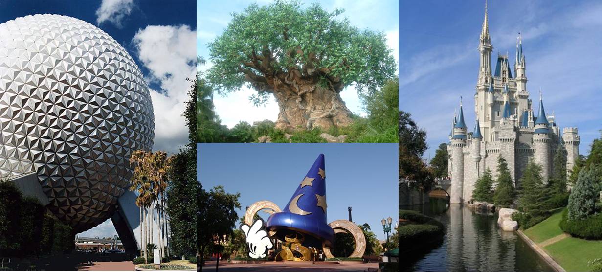 wdw4