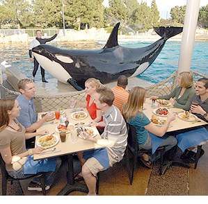 dineshamu