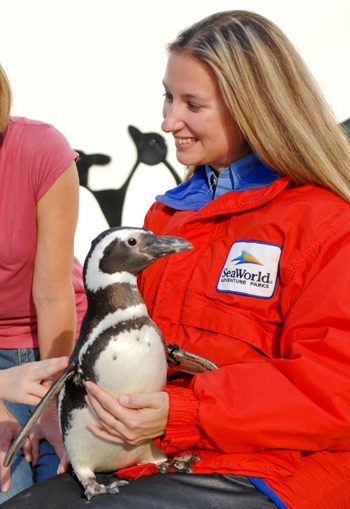 penguintouch