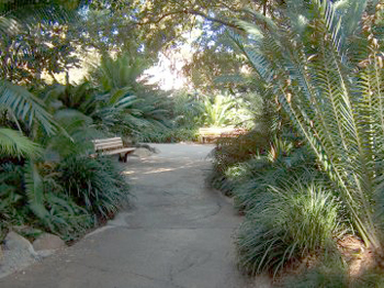cretaceous-trail
