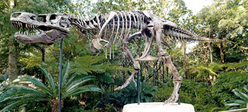 dino-sue