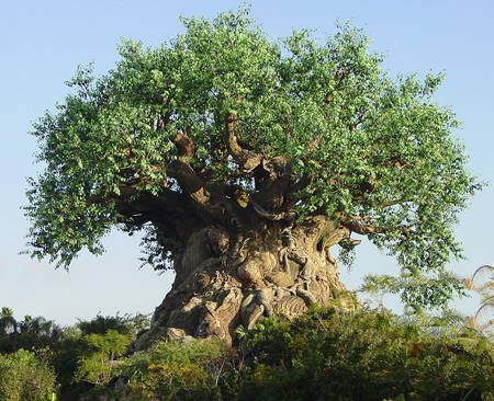 tree-of-life