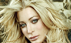 taylordane
