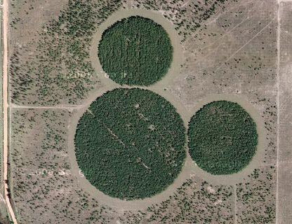 Disney logo in field