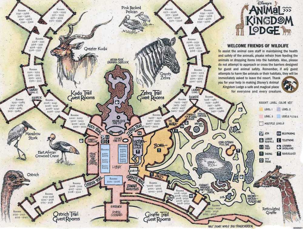 aklmap