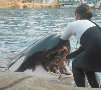 dineshamu2