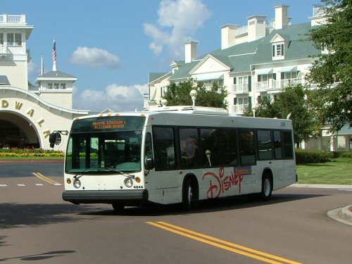 disney_bus